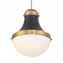 Minka-Lavery 3934-876 - Purelight 16.25" 1-Light Pendant