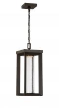 Minka-Lavery 72794-143-L - Shore Pointe - 17" LED 1 Light Chain Hung Lantern