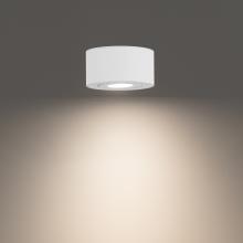 WAC US FM-W45205-35-WT - Peek Outdoor Flush Mount Light