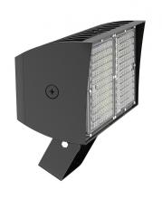 RAB Lighting PIPXL70SFY/D10/PFS - PIP XL FLOODLIGHT 70W WARM