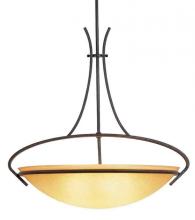 International 13883-02 - Four Light Bronze Up Pendant