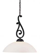 International GL-6004 - Replacement Glass