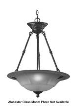 International GL-4250 - Replacement Glass