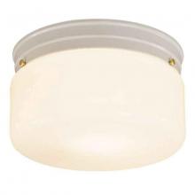 International GL-1090 - Replacement Glass