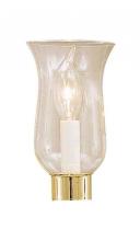 International GL-2170 - Replacement Glass