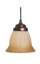 International GL-4276 - Replacement Glass