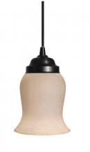 International GL-5040 - Replacement Glass