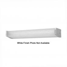 International PL-2260 - Replacement Glass