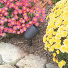 HADCO BU1-H - Bronze Spot Light