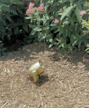 HADCO EL1-N - Brass Spot Light