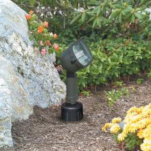 HADCO WBMT14-H - Bronze Spot Light