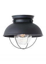 Generation Lighting 8869-12 - Sebring One Light Outdoor Ceiling Flush Mount