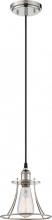 Nuvo 60/5411 - Vintage; 1 Light; Caged Pendant; Vintage Lamp Included; Polished Nickel Finish